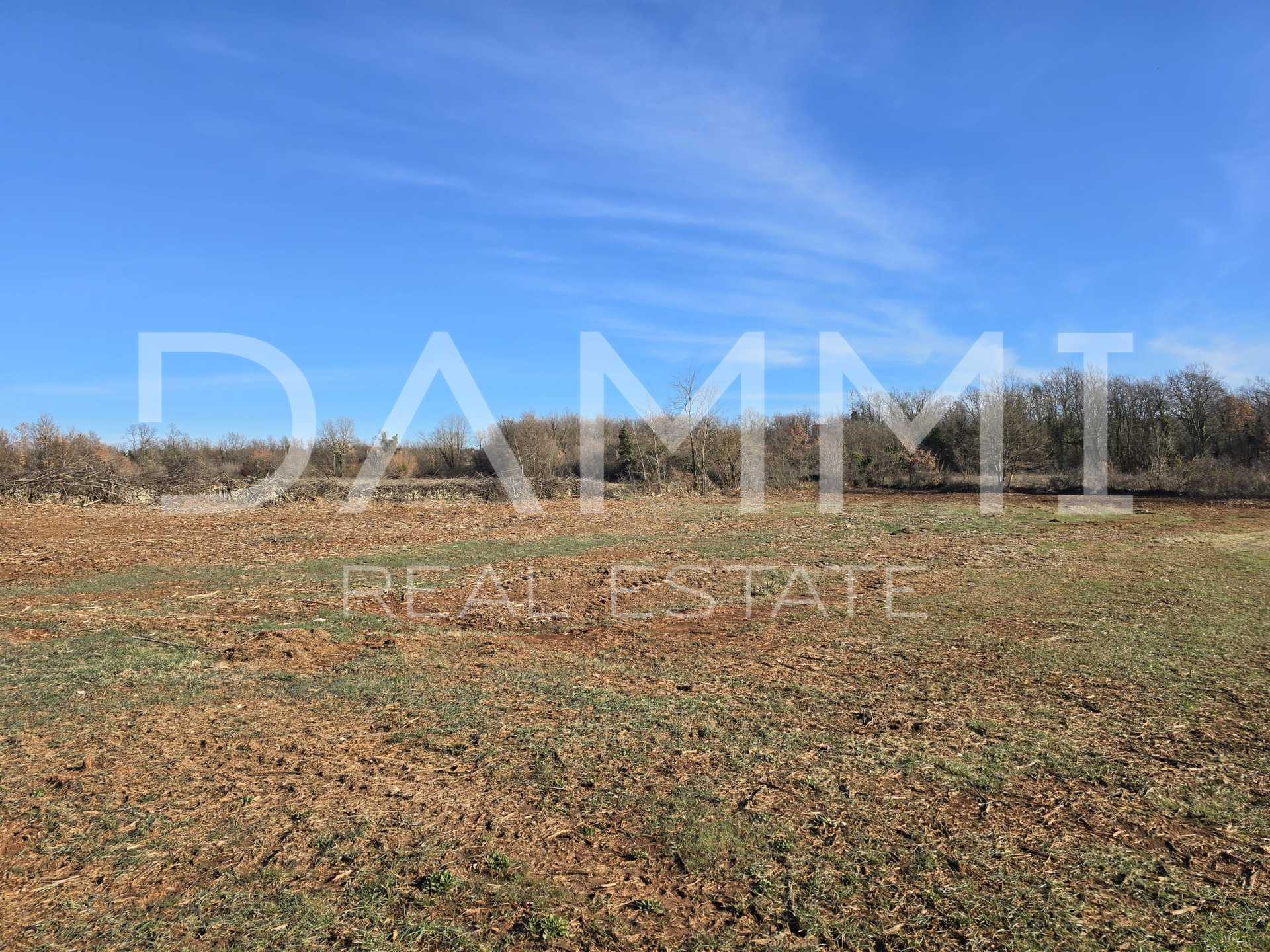 Land&comma; 10361 m2&comma; For Sale&comma; Svetvin&ccaron;enat - Re&zcaron;anci