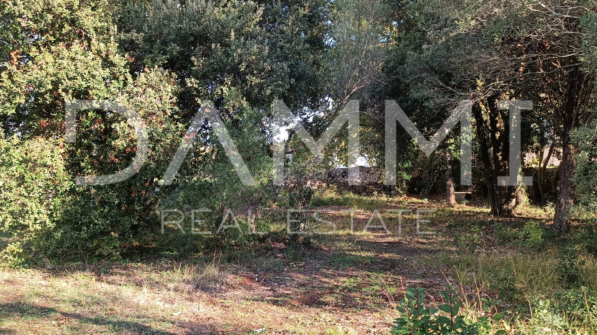 Istra&comma; Peroj&comma; atraktivno vikend zemlji&scaron;te 300m od mora