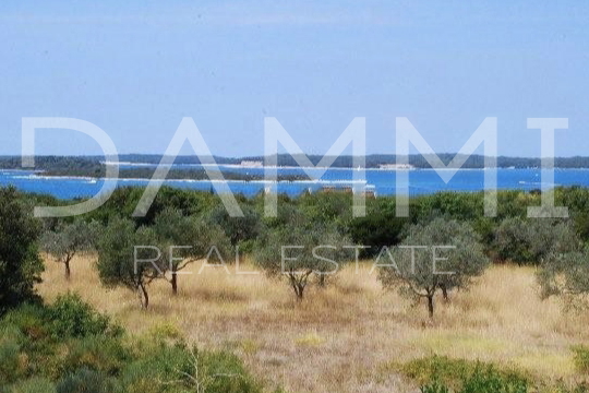 Istra, Štinjan - atraktivno građevinsko zemljište, pogled more