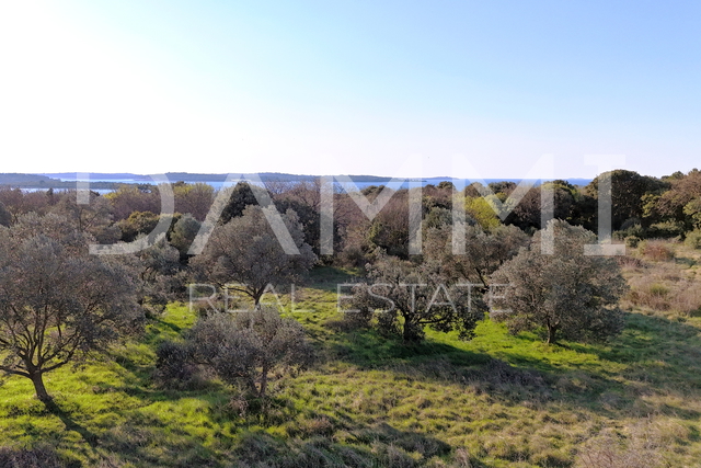 Istra, Štinjan - atraktivno građevinsko zemljište, pogled more