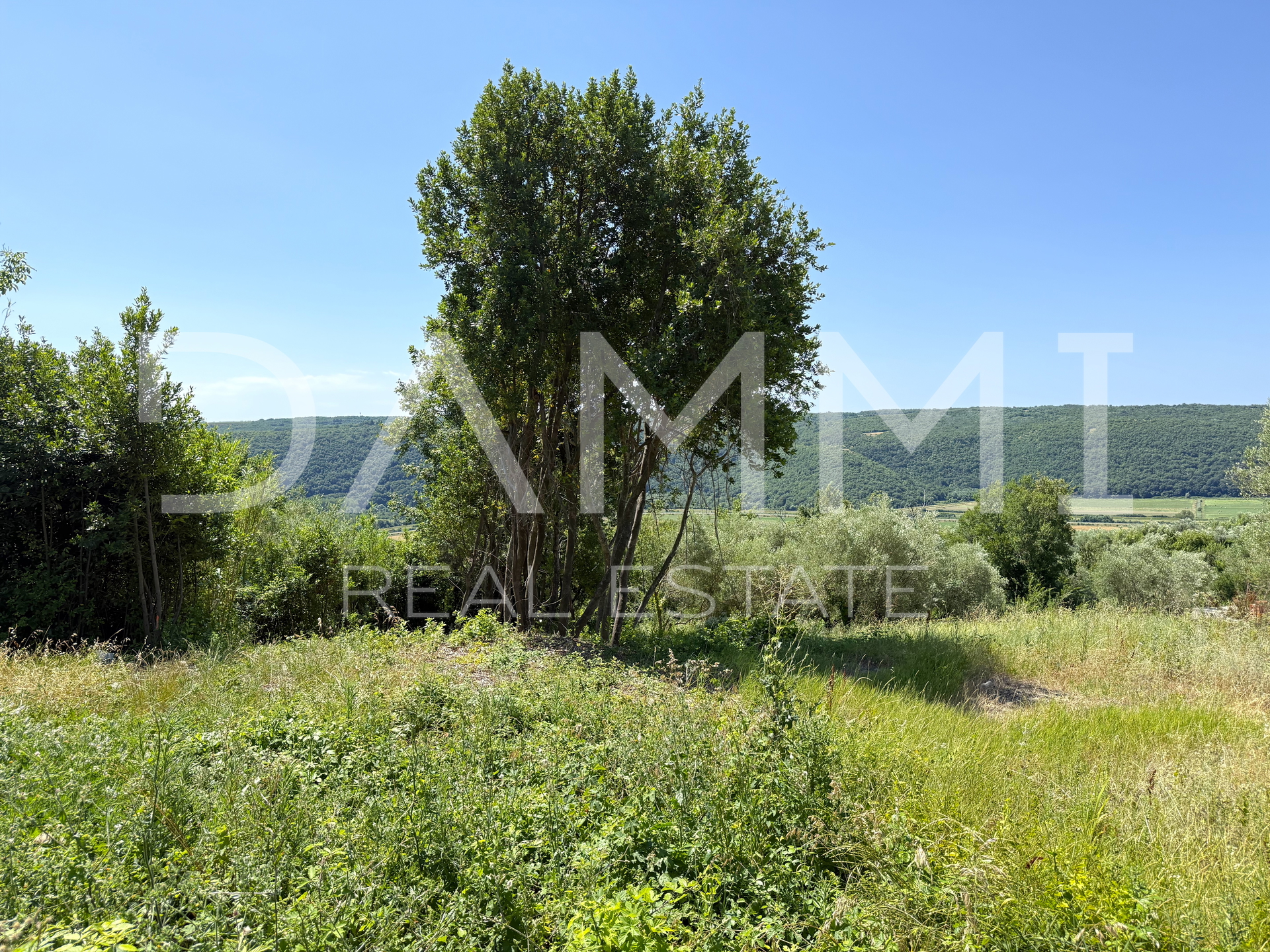 ISTRIA, BUJE, KRASICA - Terreno edificabile 770m2 con vista panoramica