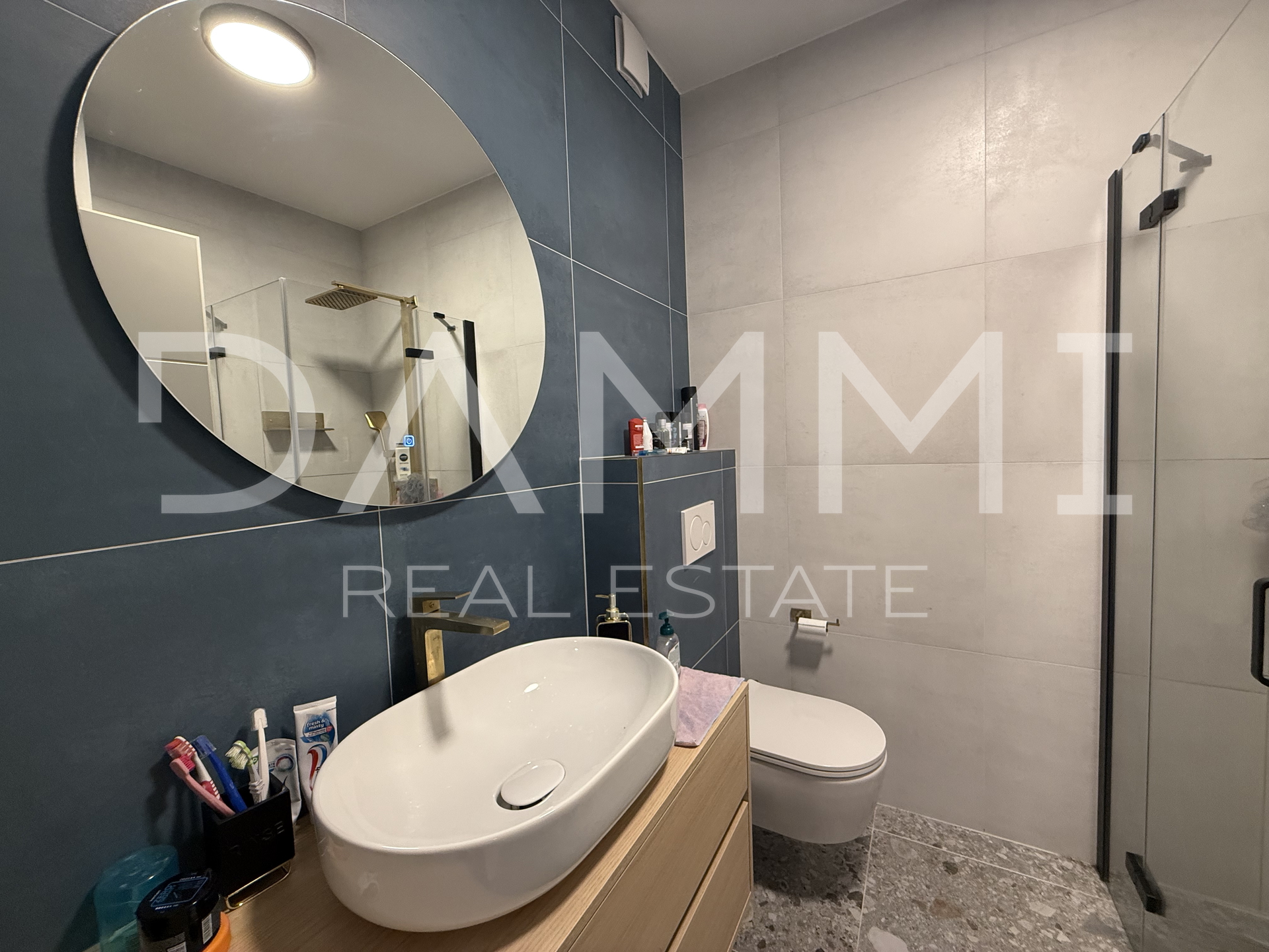 ISTRA, TAR - Apartment, basement, garden with jacuzzi EXCLUSIVE