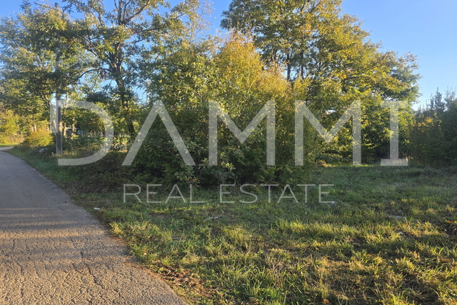 Land, 746 m2, For Sale, Svetvinčenat