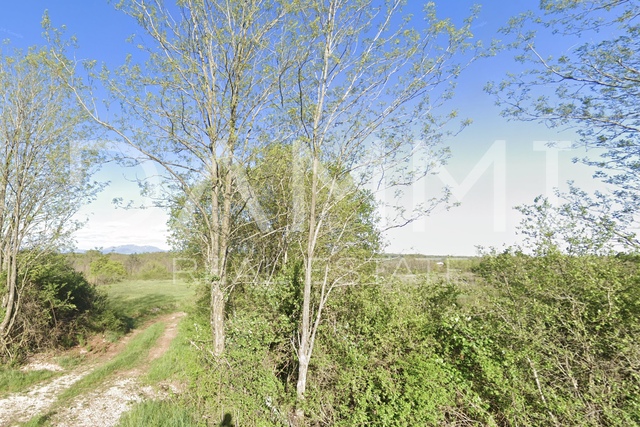 CENTRAL ISTRIA - Large agricultural land next to asphalt