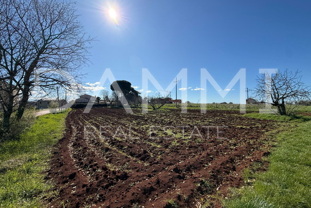 ISTRA, POREČ - Građevinsko zemljište idealno za gradnju kuće