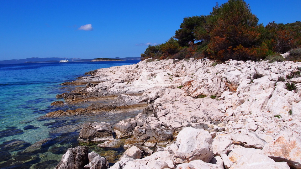 Pozemek, 2002 m2, Prodej, Pašman - Ždrelac