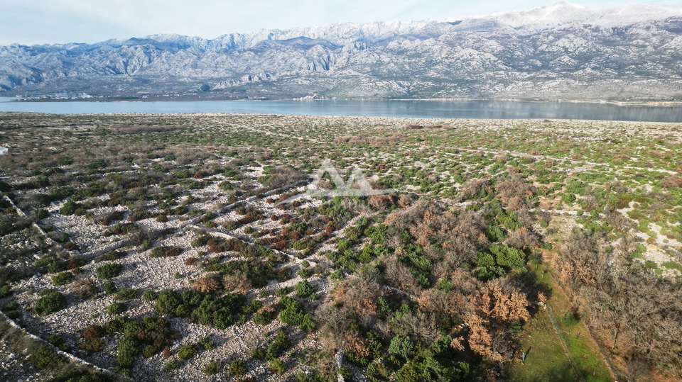 MASLENICA - MASLENIČKO ŽDRILO - 476 m2 - 17,000 €