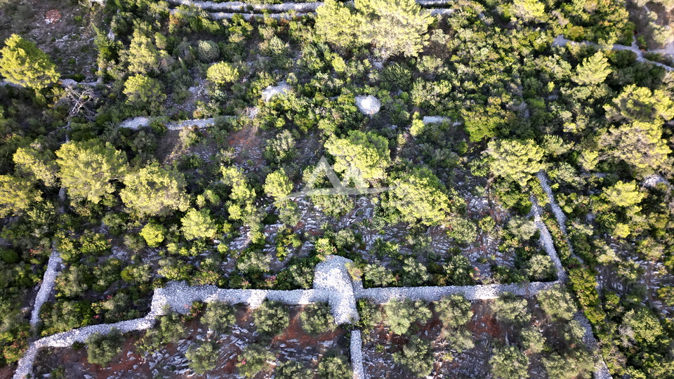 OTOK UGLJAN &ndash; POLJANA &vert; POLJOPRIVREDNO ZEMLJI&Scaron;TE 5&period;350 m&sup2;
