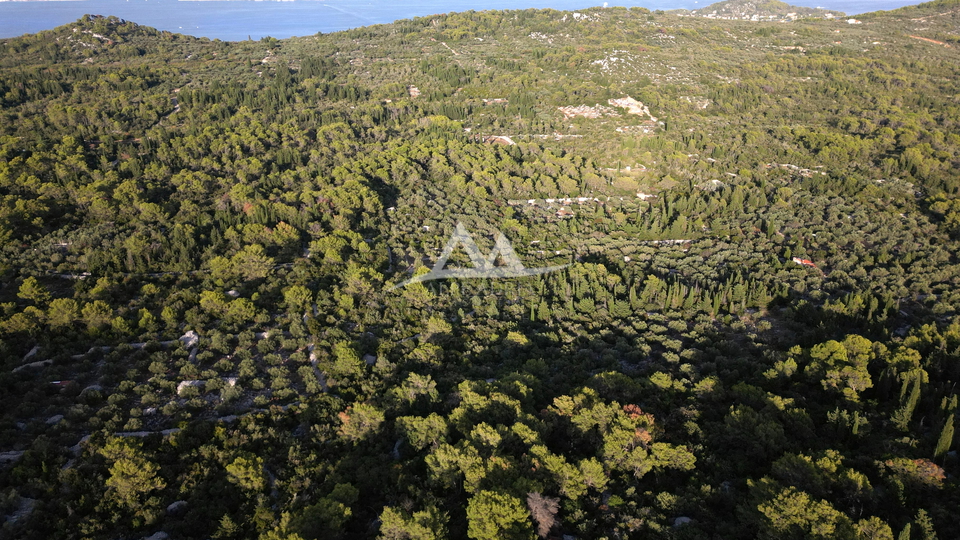 OTOK UGLJAN &ndash; POLJANA &vert; POLJOPRIVREDNO ZEMLJI&Scaron;TE 5&period;350 m&sup2;