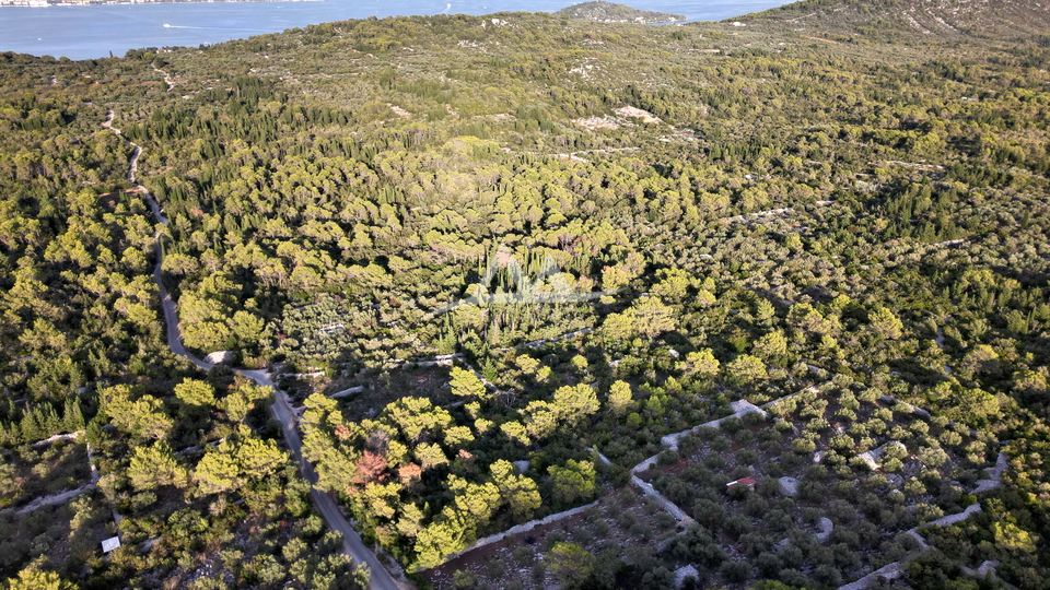 OTOK UGLJAN &ndash; POLJANA &vert; POLJOPRIVREDNO ZEMLJI&Scaron;TE 5&period;350 m&sup2;