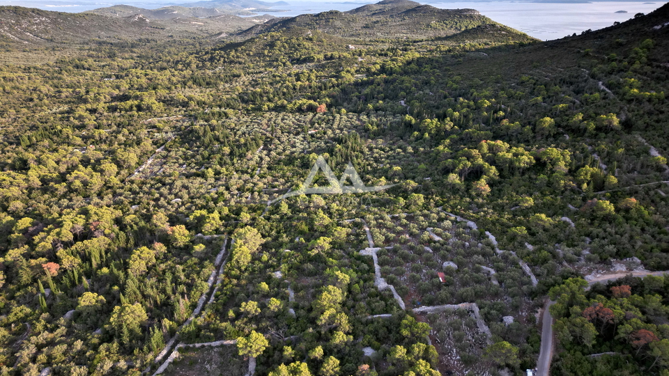 OTOK UGLJAN &ndash; POLJANA &vert; POLJOPRIVREDNO ZEMLJI&Scaron;TE 5&period;350 m&sup2;