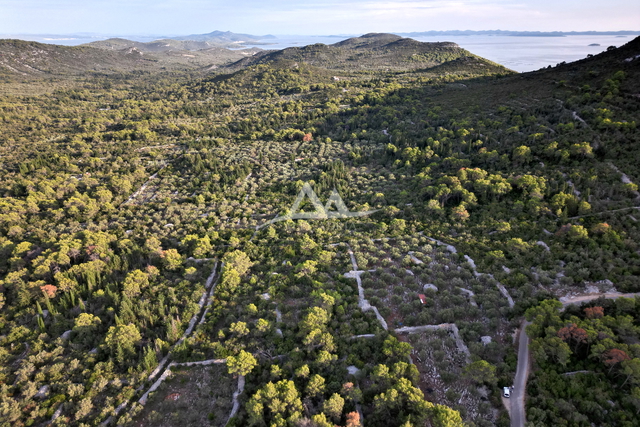 OTOK UGLJAN – POLJANA | POLJOPRIVREDNO ZEMLJIŠTE 5.350 m²