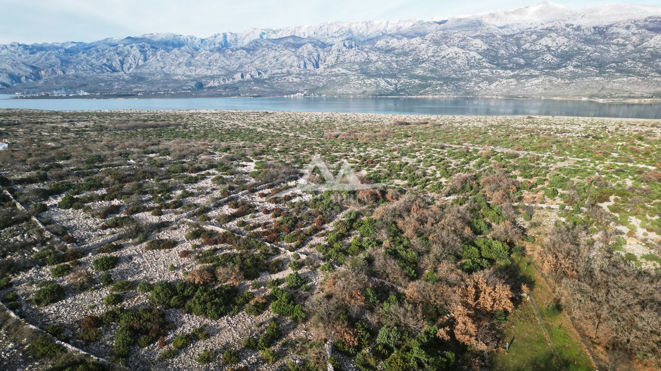 MASLENIČKO ŽDRILO - BAULANDFLÄCHE 1.879 M2 PLUS 6.873 M2LANDWIRTSCHAFT - 262.560 €