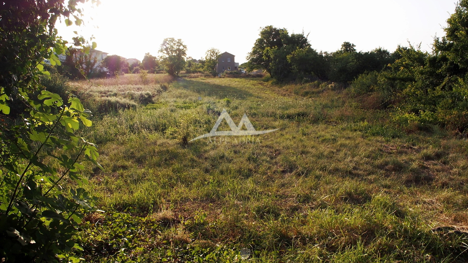 Land, For Sale, Suhovare