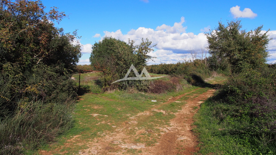 RAŠTANE - TERRENO EDIFICABILE 9515 M2 - €856.350