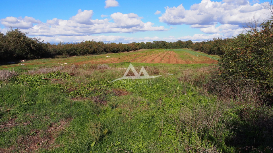 RAŠTANE - TERRENO EDIFICABILE 9515 M2 - €856.350