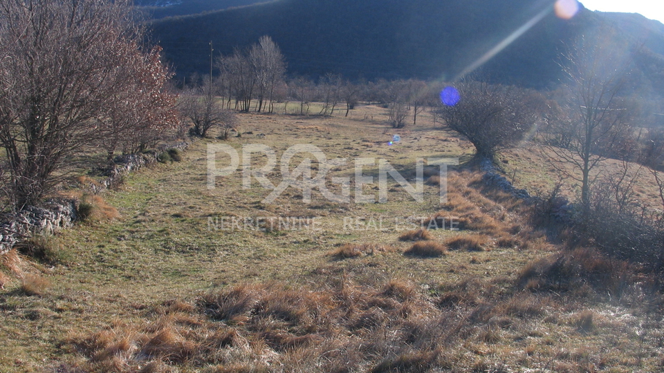 Building land near Lupoglav