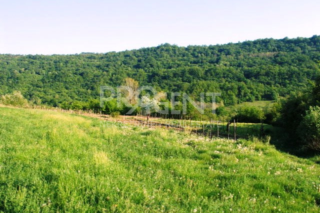 Land, 29000 m2, For Sale, Buzet - Račice