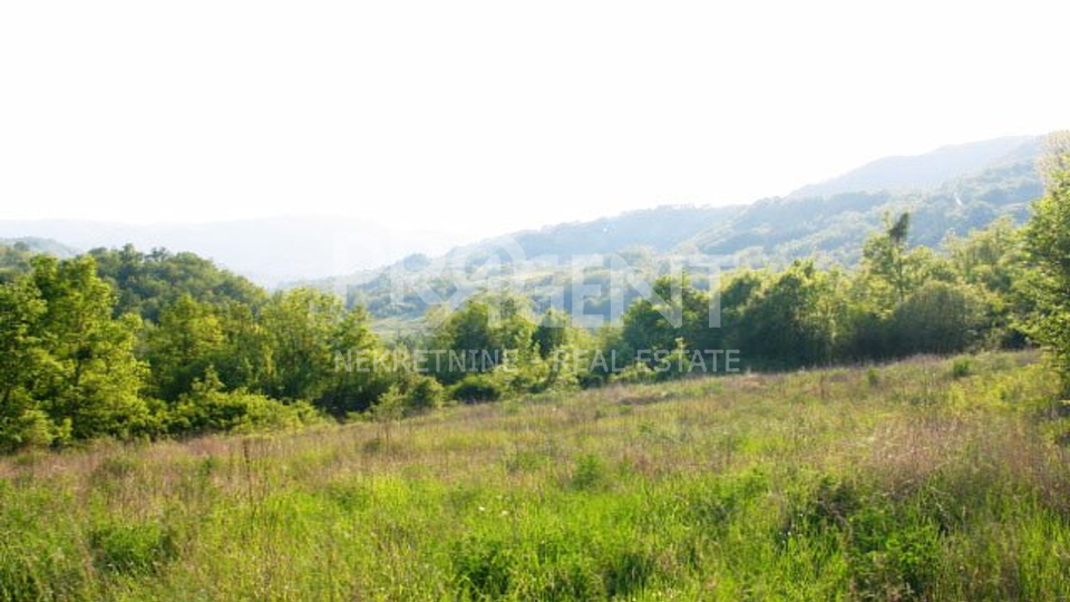 Land, 29000 m2, For Sale, Buzet - Račice