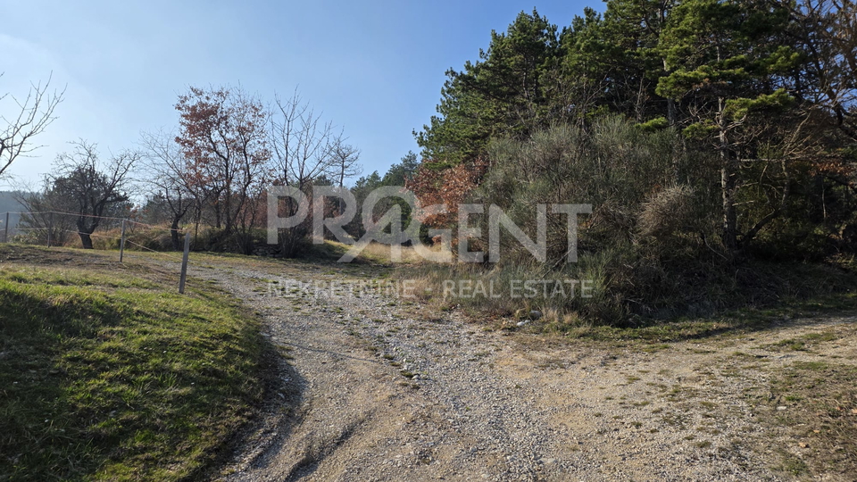ISTRIA&comma; BUZET&comma; LAND WITH A BUILDING&comma; FOR SALE