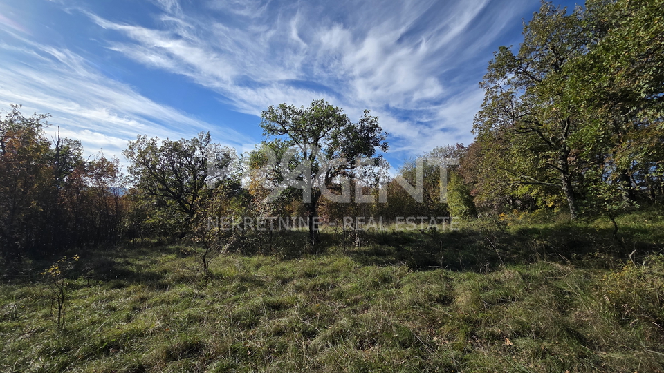 Terreno, 3306 m2, Vendita, Buzet