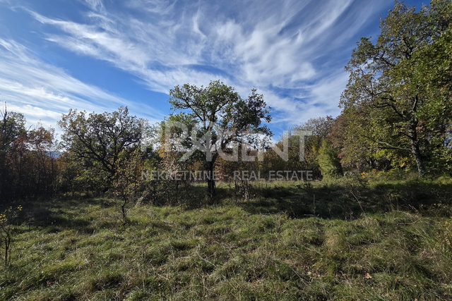 ISTRA, BUZET, POLJOPRIVREDNO ZEMLJIŠTE, PRODAJE SE