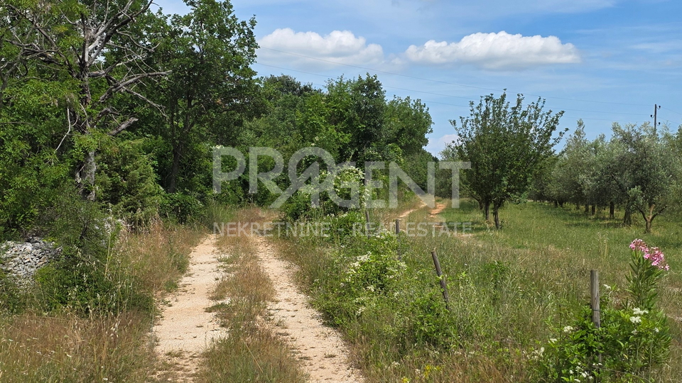 ISTRIA&comma; VODNJAN&comma; AGRICULTURAL LAND&comma; FOR SALE