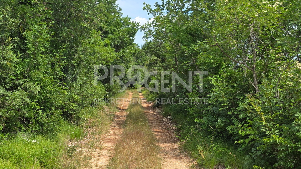 ISTRIA&comma; VODNJAN&comma; AGRICULTURAL LAND&comma; FOR SALE