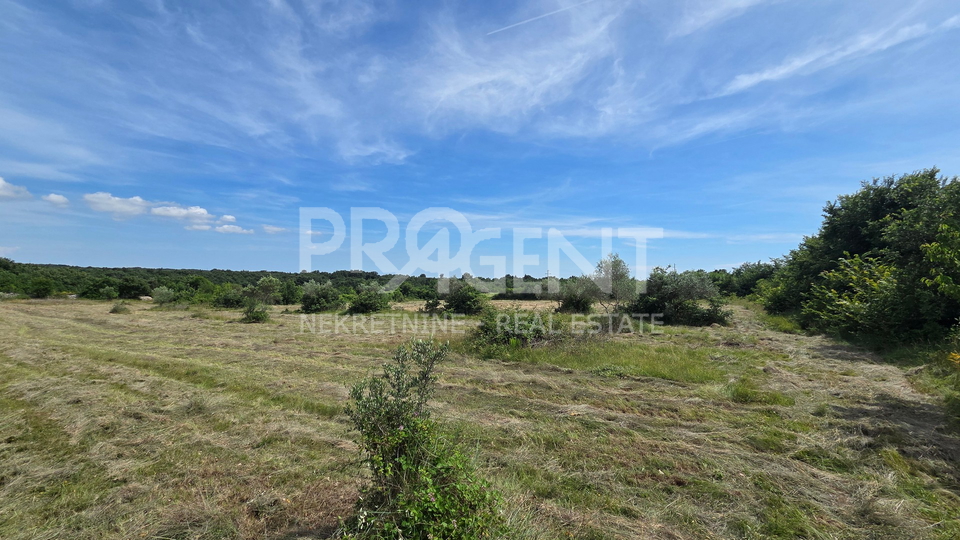 ISTRIA&comma; VODNJAN&comma; AGRICULTURAL LAND&comma; FOR SALE