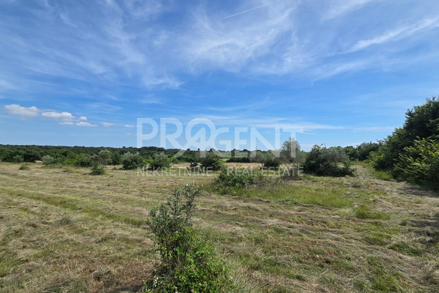 ISTRIA, VODNJAN, AGRICULTURAL LAND, FOR SALE