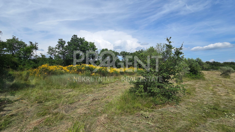 ISTRIA&comma; VODNJAN&comma; AGRICULTURAL LAND&comma; FOR SALE