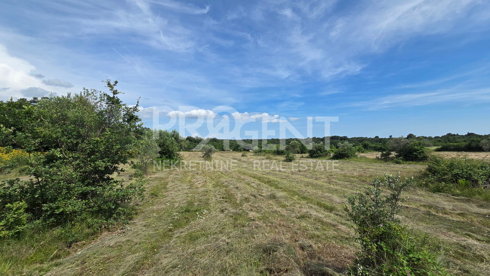 ISTRIA&comma; VODNJAN&comma; AGRICULTURAL LAND&comma; FOR SALE