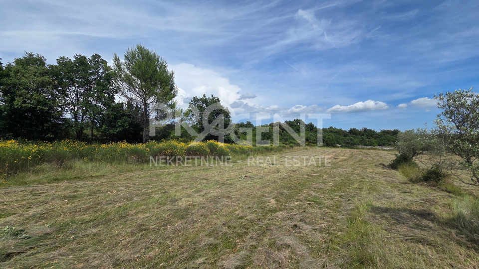 ISTRIA&comma; VODNJAN&comma; AGRICULTURAL LAND&comma; FOR SALE
