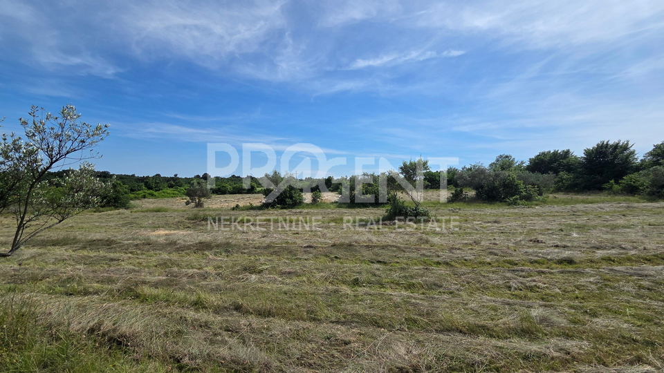 ISTRIA&comma; VODNJAN&comma; AGRICULTURAL LAND&comma; FOR SALE