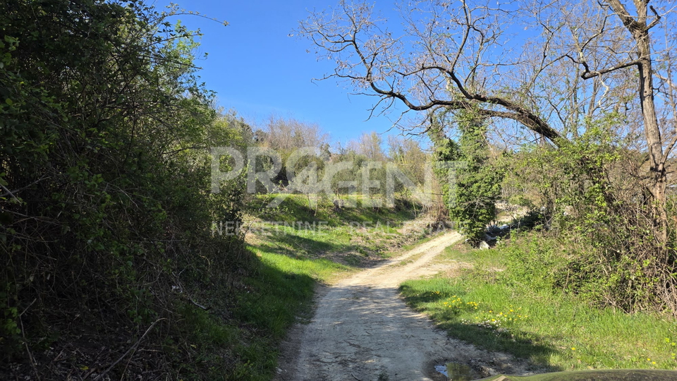 ISTRA&comma; BUZET&comma; SVETI DONAT&comma; GRA&Dstrok;EVINSKO ZEMLJI&Scaron;TE&comma; PRODAJE SE