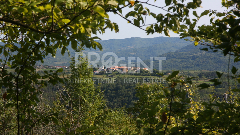 Terreno, 2633 m2, Vendita, Buzet - Sovinjska Brda