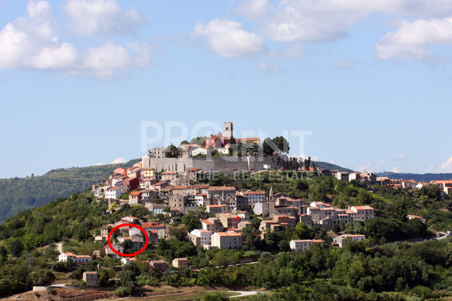 Motovun, stone house with garden and tavern