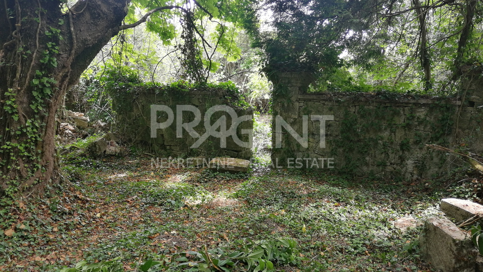 Land, 4958 m2, For Sale, Motovun - Kaldir