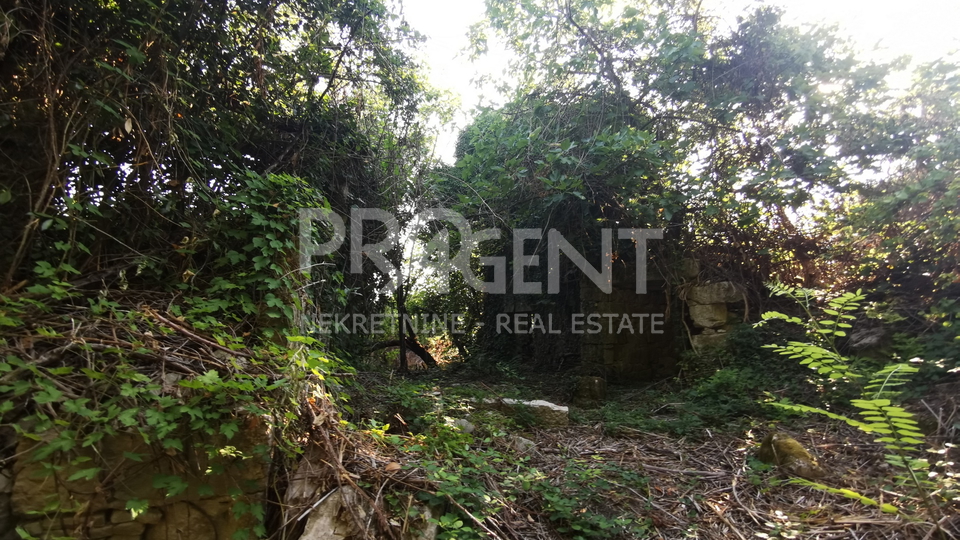 Land, 4958 m2, For Sale, Motovun - Kaldir