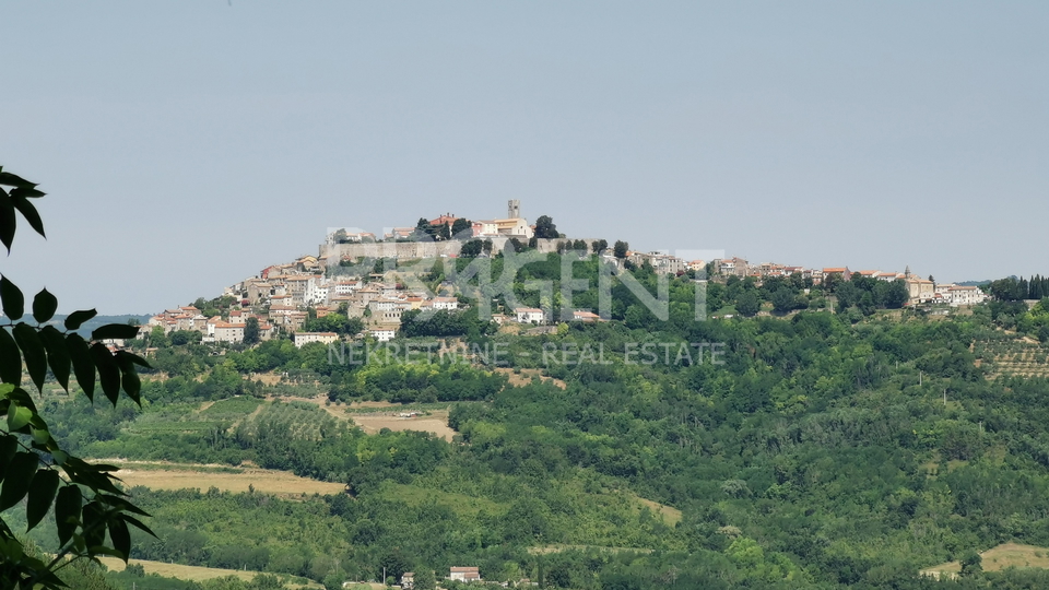 Land, 4958 m2, For Sale, Motovun - Kaldir