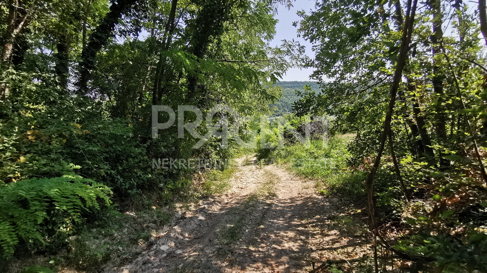 Land, 4958 m2, For Sale, Motovun - Kaldir