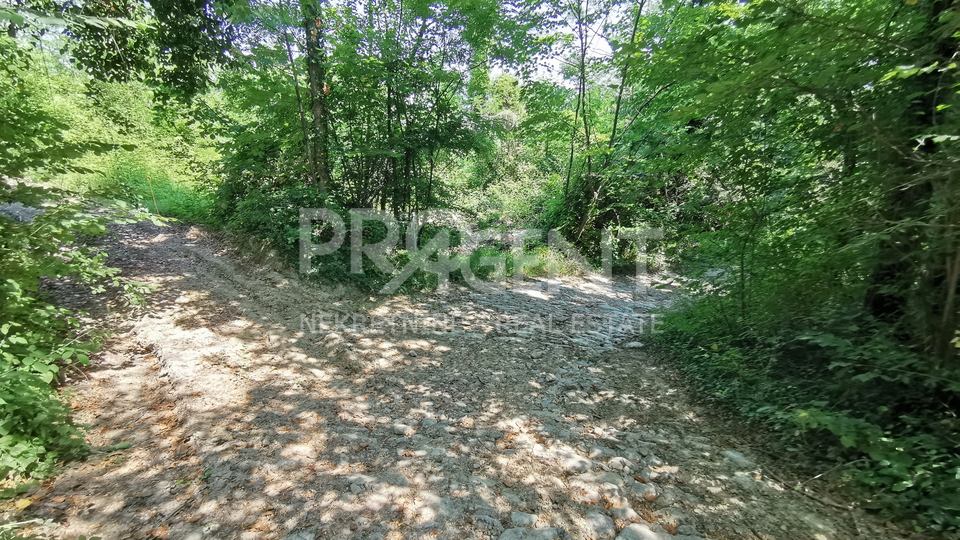 Land, 4958 m2, For Sale, Motovun - Kaldir