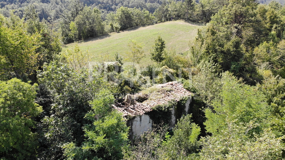 Istra, stara kamena kuća na velikom imanju