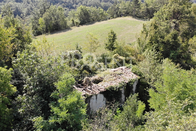 Istria, an old stone house on a large property