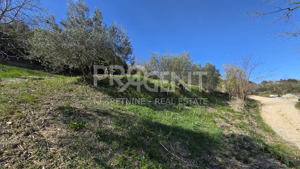 ISTRA&comma; BUZET&comma; SVETI DONAT&comma; GRA&Dstrok;EVINSKO ZEMLJI&Scaron;TE&comma; PRODAJE SE