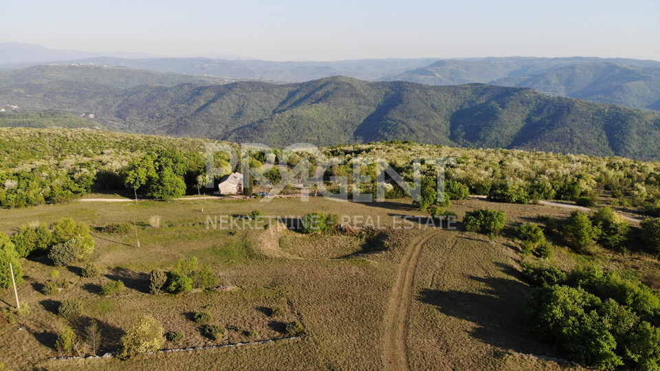 ISTRIA, OPRTALJ, STANCIJA WITH 9.8 ha OF LAND