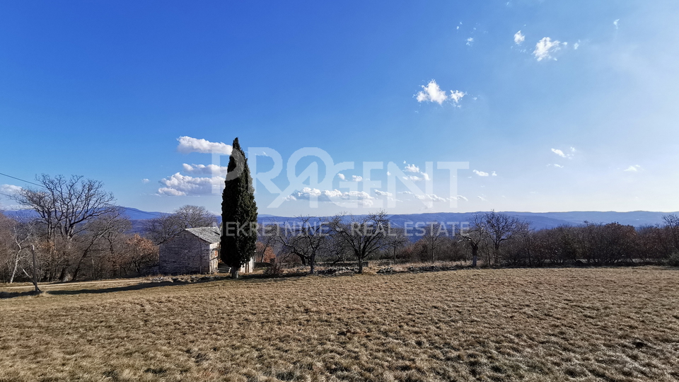 ISTRIA, OPRTALJ, STANCIJA WITH 9.8 ha OF LAND