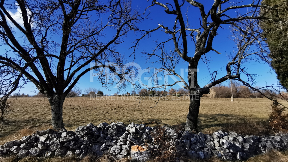 ISTRIA, OPRTALJ, STANCIJA WITH 9.8 ha OF LAND