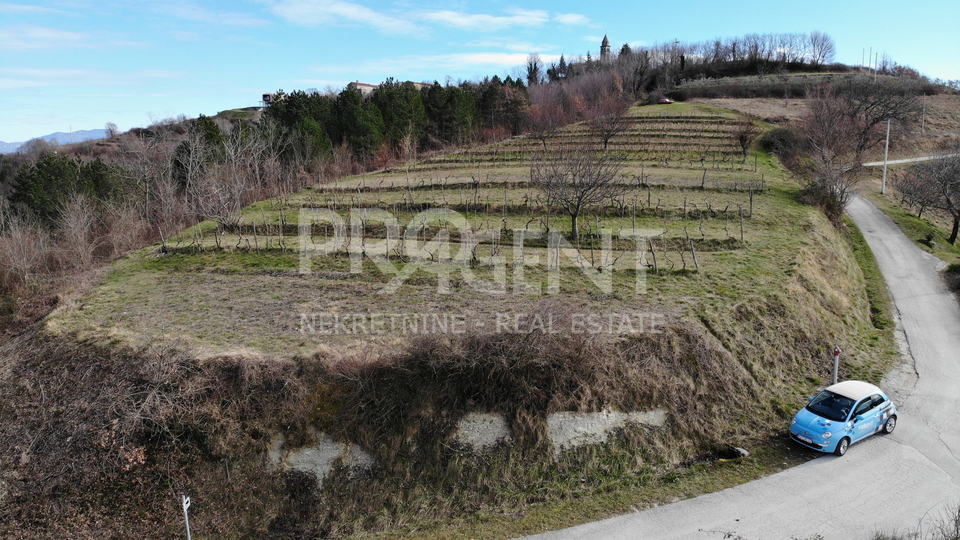 Jedinstveno građevinsko zemljište s prekrasnim pogledom na Motovun