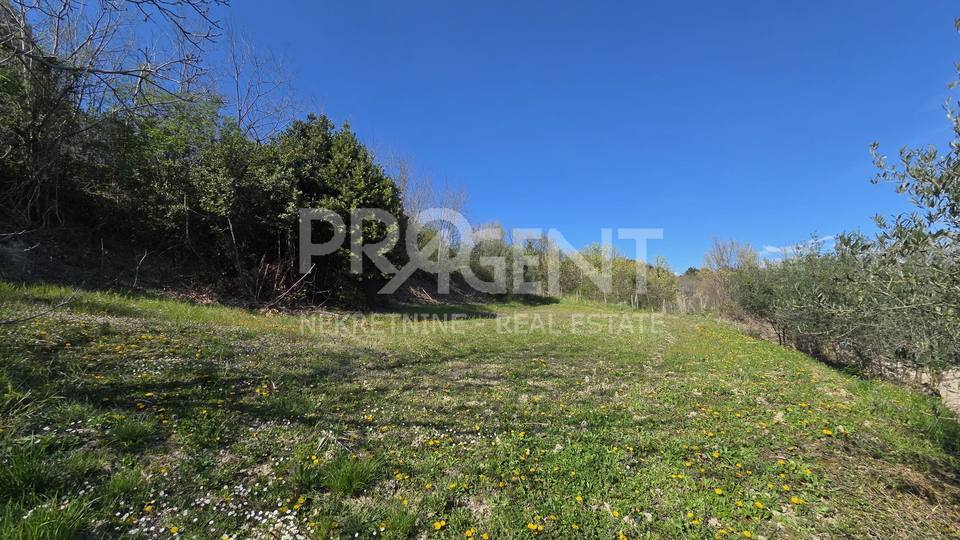 ISTRA&comma; BUZET&comma; SVETI DONAT&comma; GRA&Dstrok;EVINSKO ZEMLJI&Scaron;TE&comma; PRODAJE SE